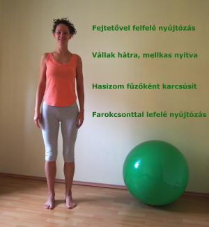 1_nyújtózás szöveggel ÚJ